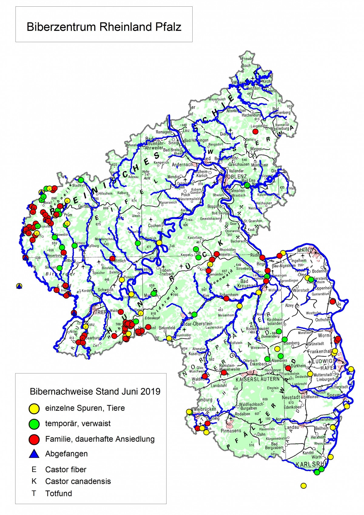 Verbreitungskarte – Biber in Rheinland-Pfalz